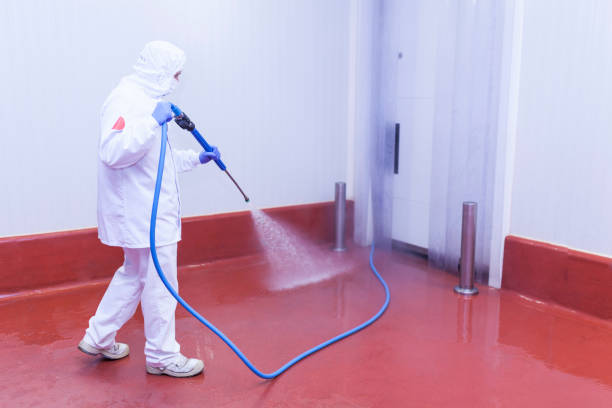 Best Boat and Dock Cleaning  in Shenandoah Heights, PA